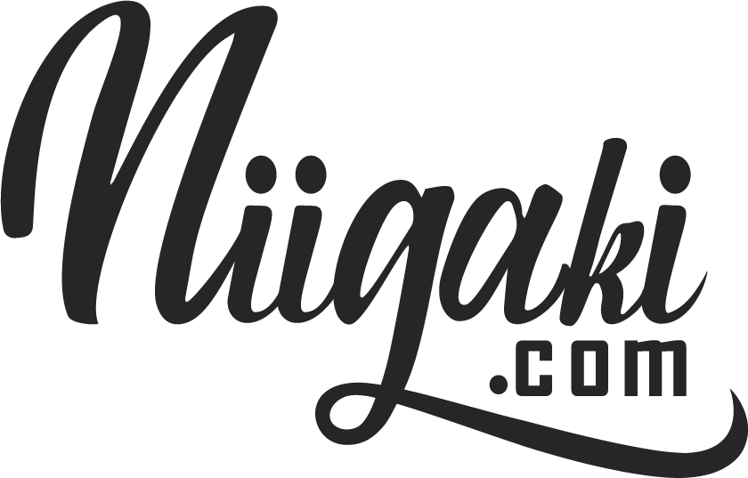 Niigaki.com